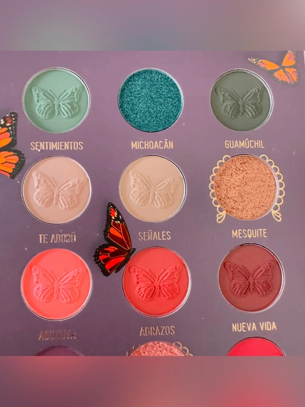Melt Cosmetics title melt